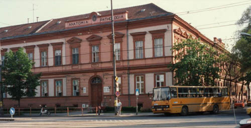 Szegedi Patológiai Intézet a Rókusi iskolában 1921-2002